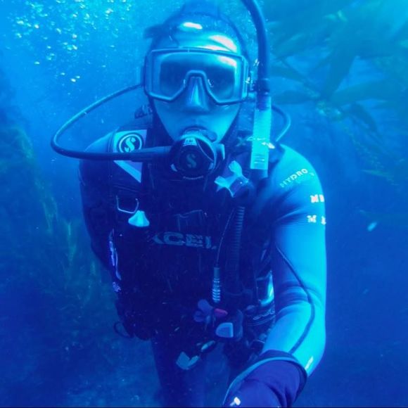 Meet your Posher, Sebastian - Picture 1 of 1